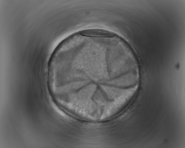 X0000116551519200912311901