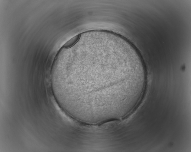 X0000116551521200912311901