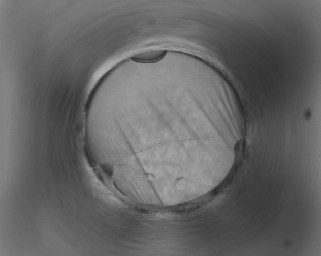 X0000116551522200912311901