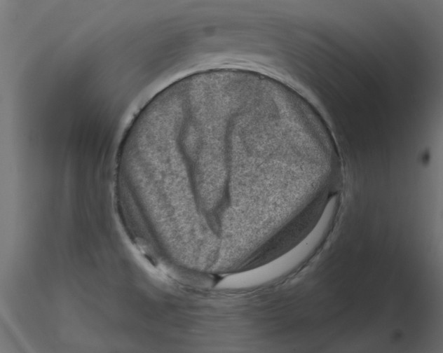 X0000116551525200912311901