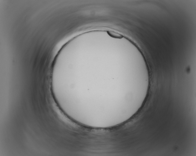 X0000116551526200912311901