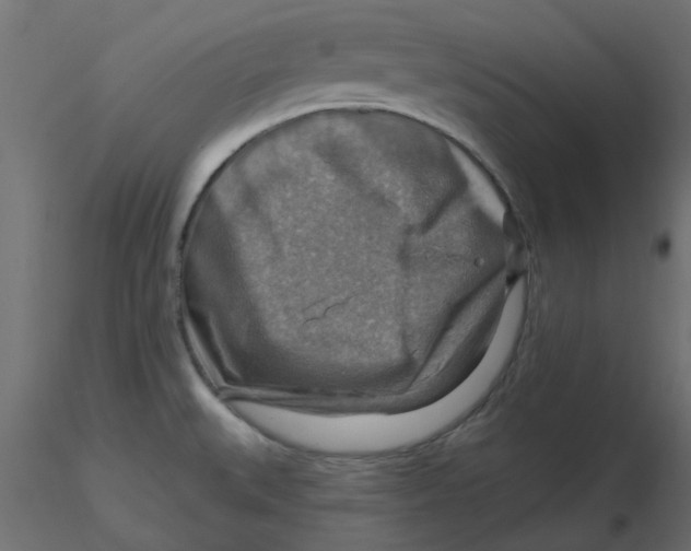 X0000116551527200912311901