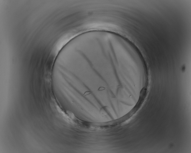 X0000116551529200912311901