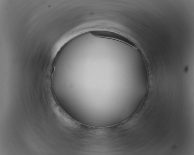 X0000116551530200912311901