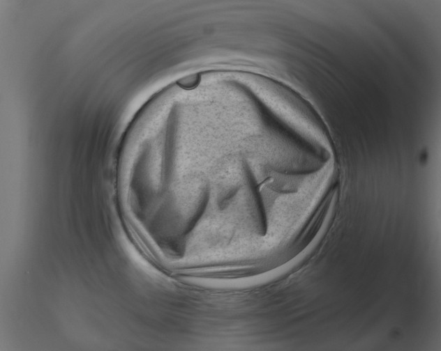 X0000116551531200912311901