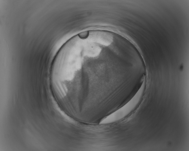 X0000116551533200912311901