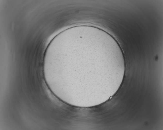 X0000116551534200912311901