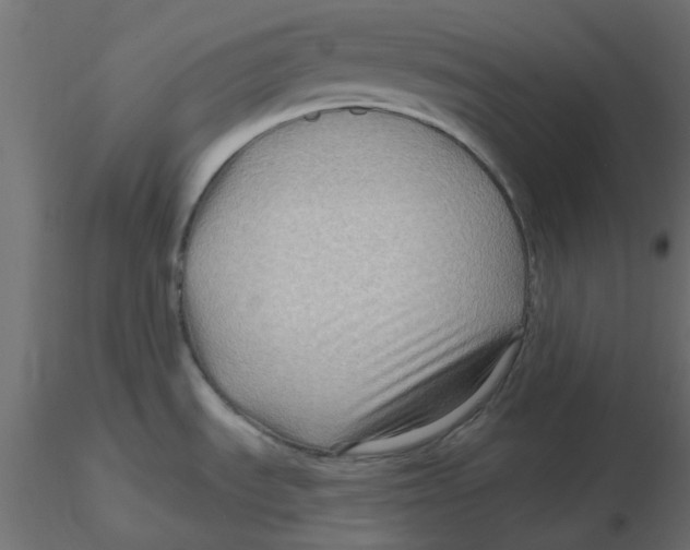 X0000116551535200912311901