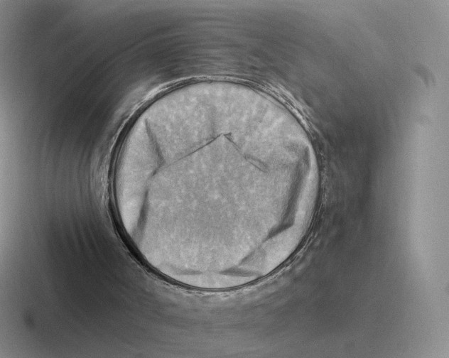 X0000116550002201001071125