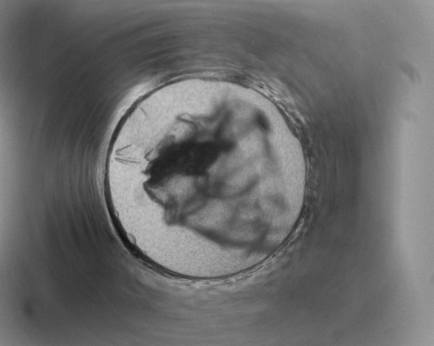 X0000116550003201001071125