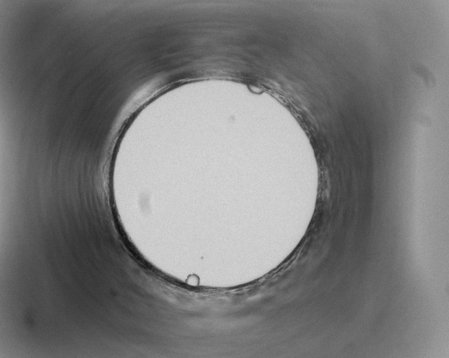 X0000116550004201001071125