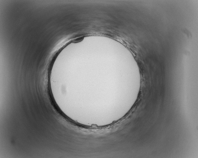 X0000116550005201001071125