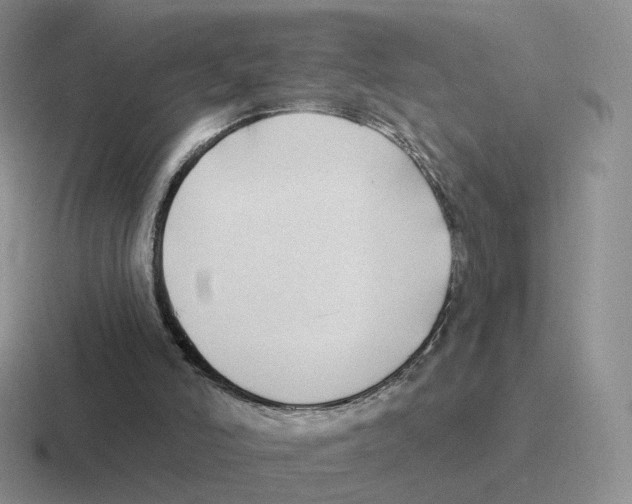 X0000116550006201001071125