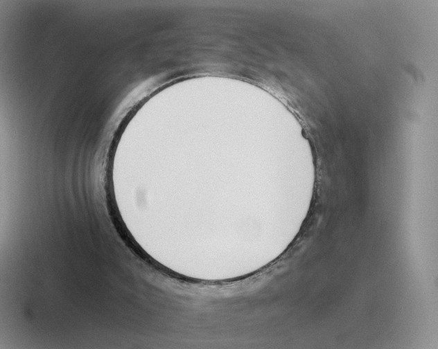 X0000116550007201001071125