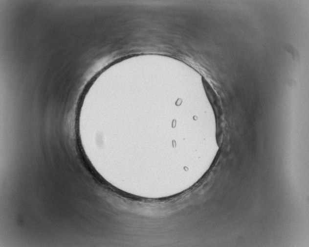 X0000116550008201001071125