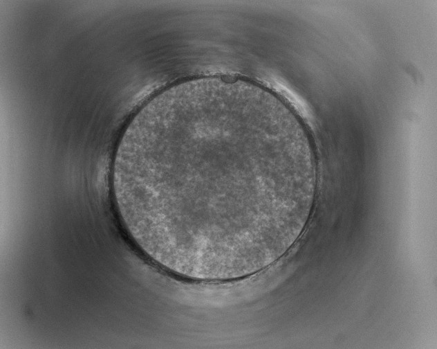 X0000116550009201001071125