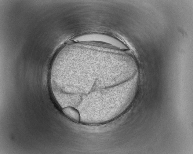 X0000116550010201001071125