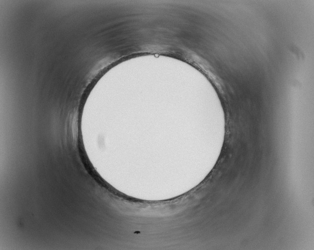 X0000116550011201001071125