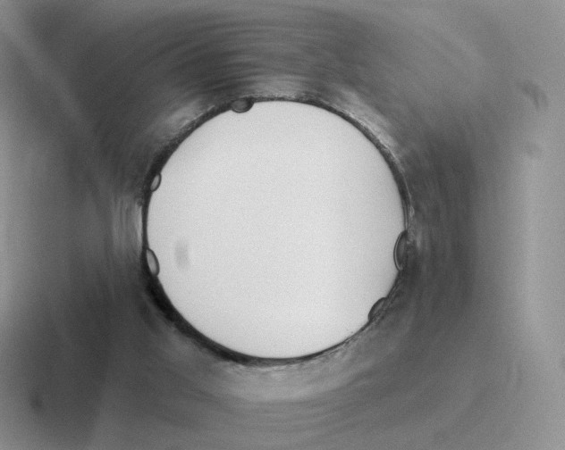 X0000116550013201001071125