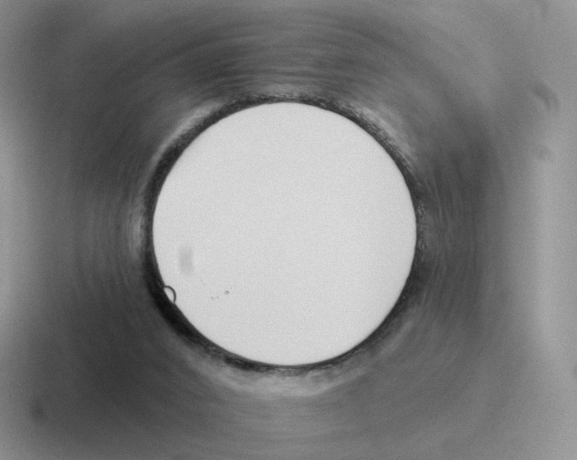 X0000116550016201001071125