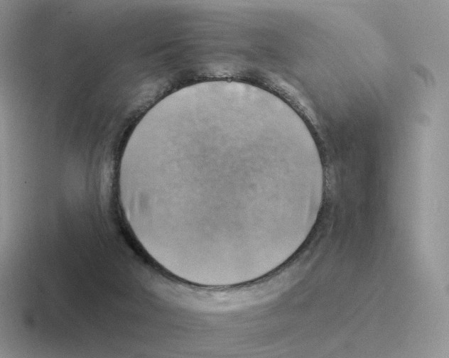 X0000116550018201001071124