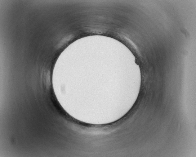 X0000116550020201001071124