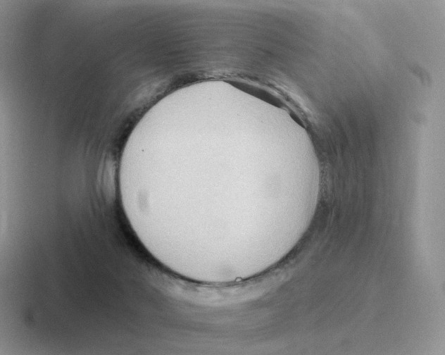 X0000116550022201001071124