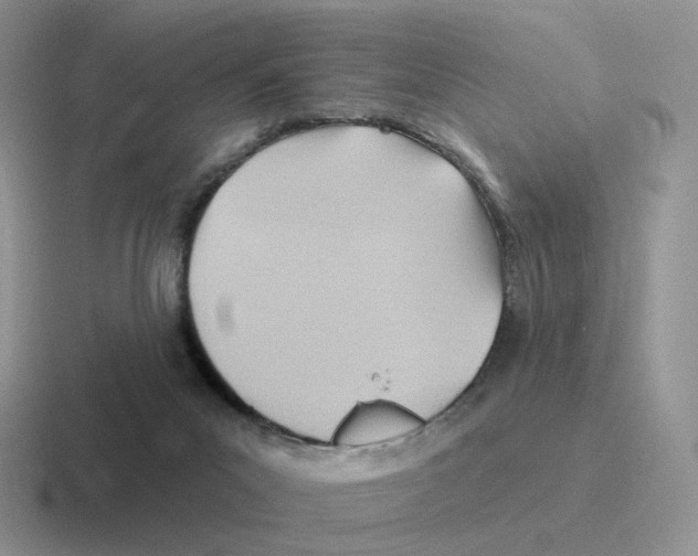 X0000116550023201001071124