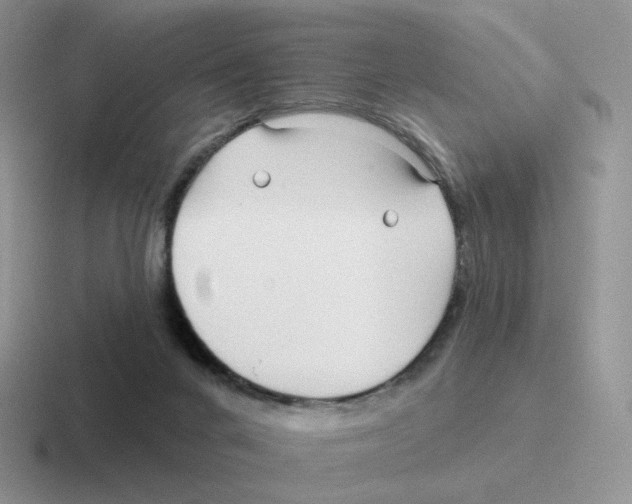 X0000116550024201001071124