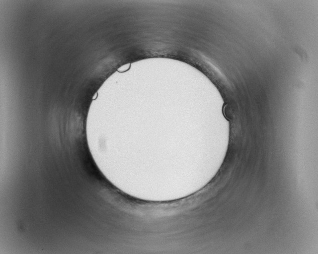 X0000116550025201001071124