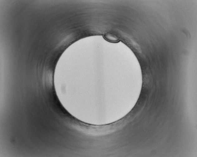 X0000116550027201001071124