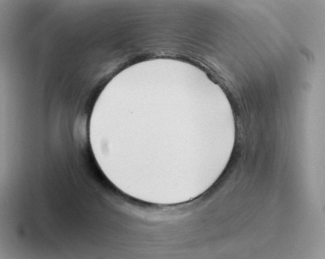 X0000116550028201001071124