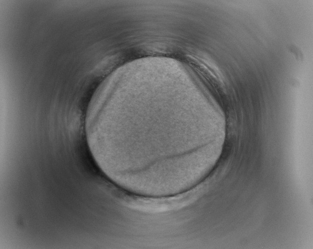 X0000116550029201001071124