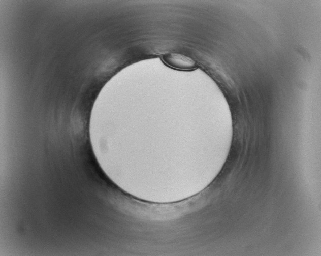 X0000116550031201001071124