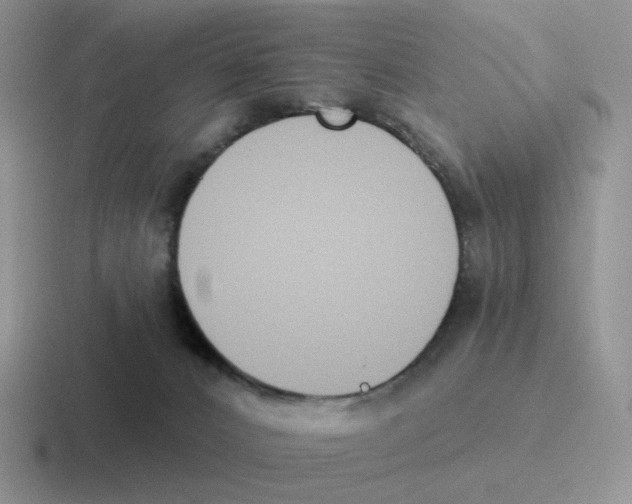 X0000116550032201001071124