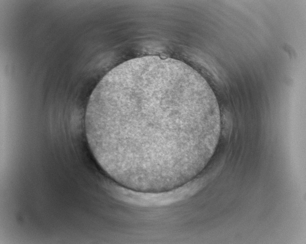 X0000116550034201001071124