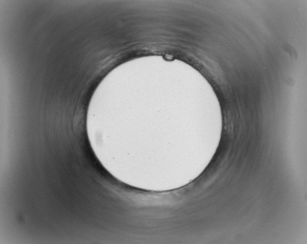 X0000116550036201001071124