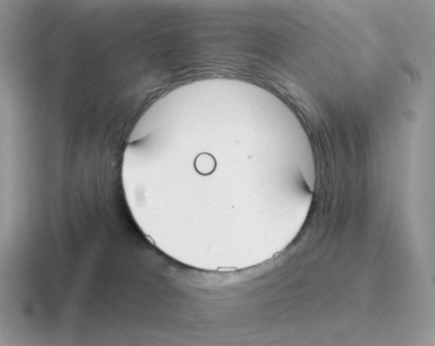 X0000116550037201001071124