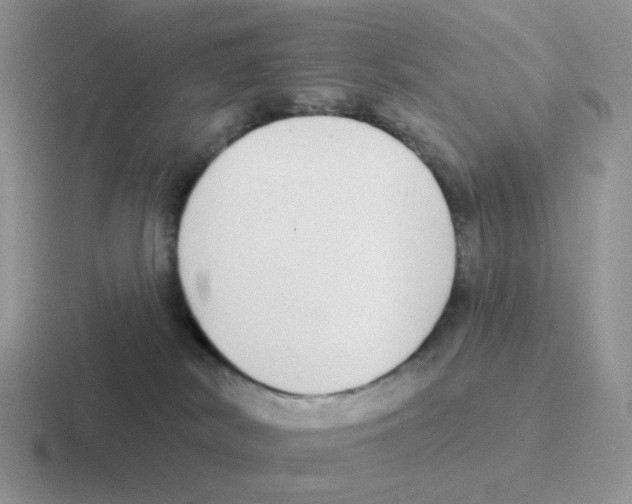 X0000116550038201001071124