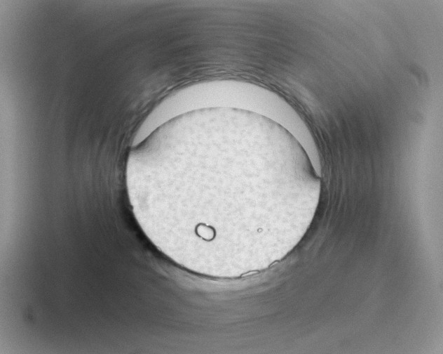 X0000116550039201001071124