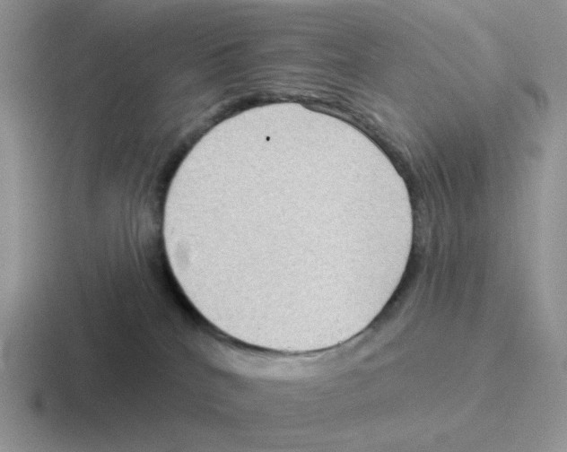 X0000116550040201001071124