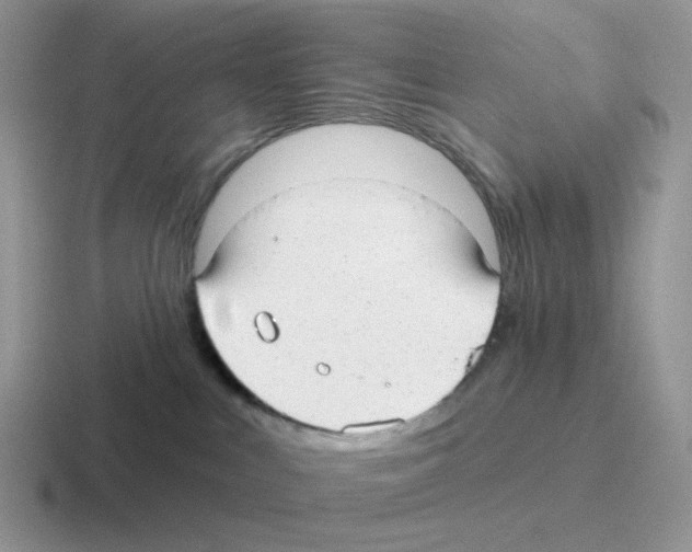 X0000116550043201001071124