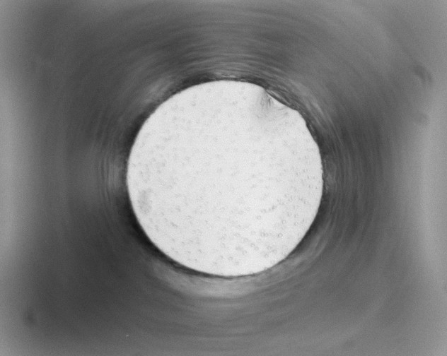 X0000116550044201001071124