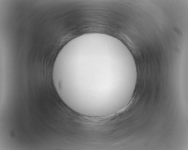 X0000116550045201001071124