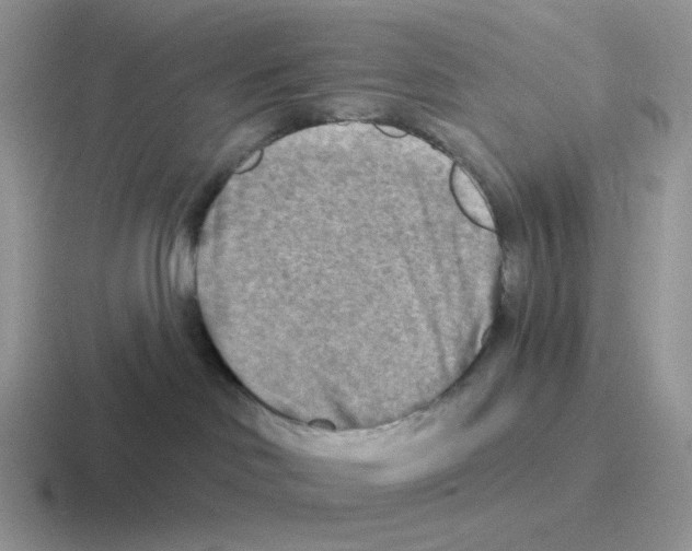 X0000116550046201001071124