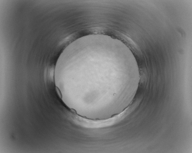 X0000116550047201001071124