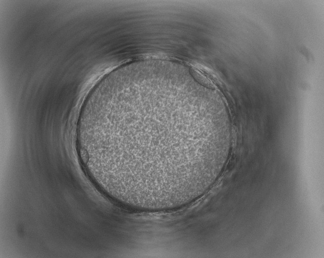 X0000116550049201001071124