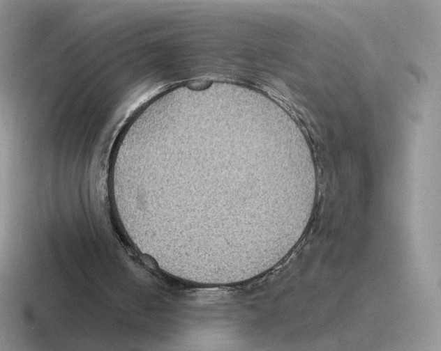 X0000116550050201001071124