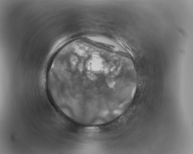 X0000116550053201001071124