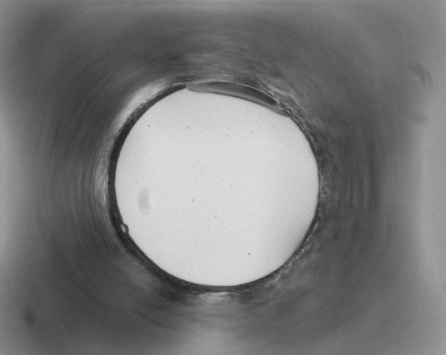 X0000116550054201001071124